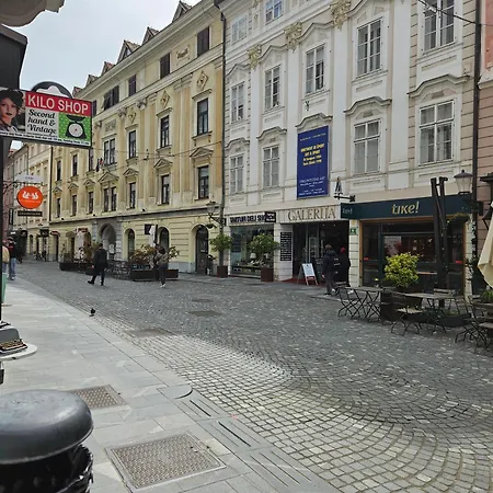 شقة Nina With Private Terrace Tour As ليوبليانا